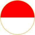 لاستیک اندونزی
